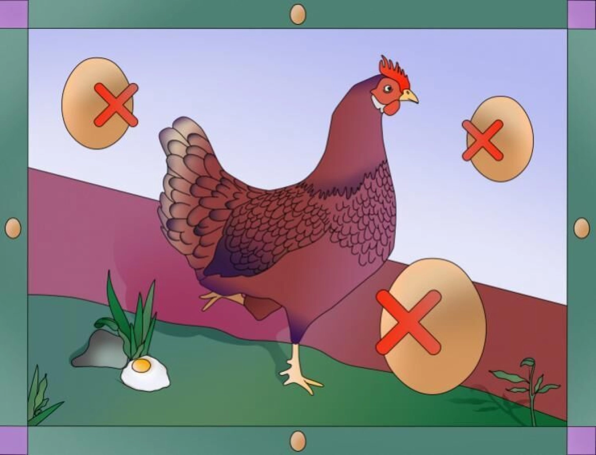 Kenniscafé: overal PFAS